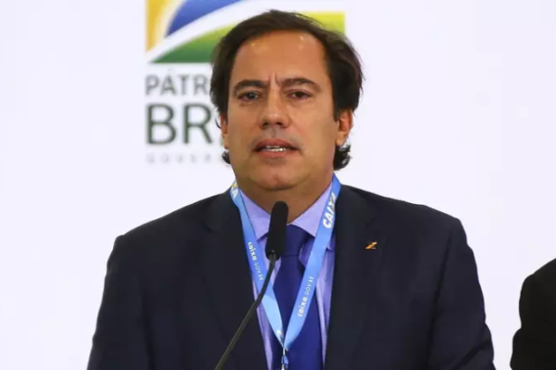 Pedro Duarte Guimarães explora como os temperos indianos ganharam espaço na gastronomia mundial.