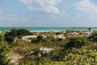 Praia tropical com águas turquesa, vegetação exuberante e céu claro.