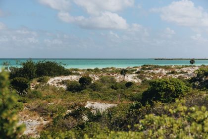 Praia tropical com águas turquesa, vegetação exuberante e céu claro.